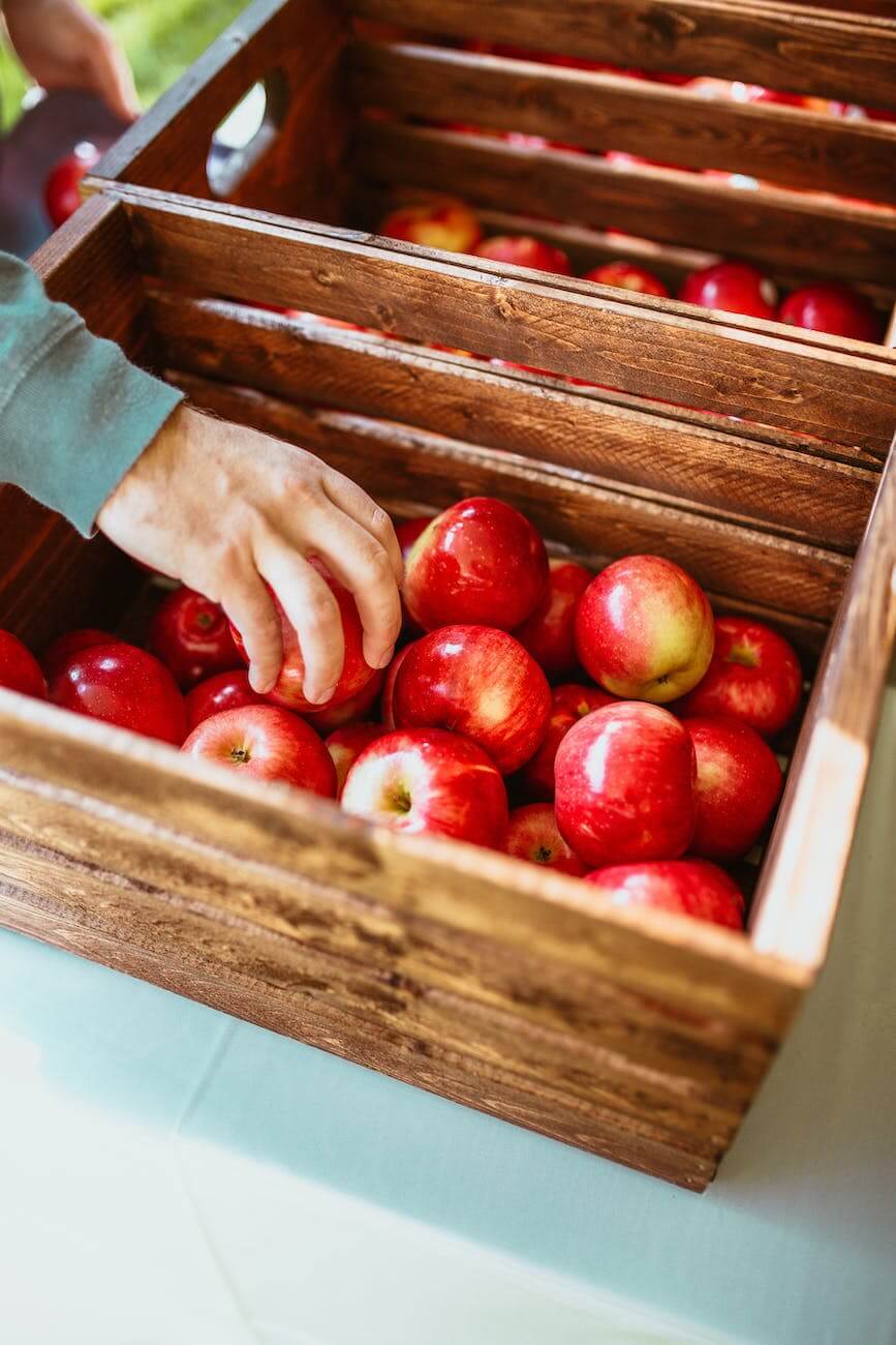 red apples on wooden crates do carbs make you fat